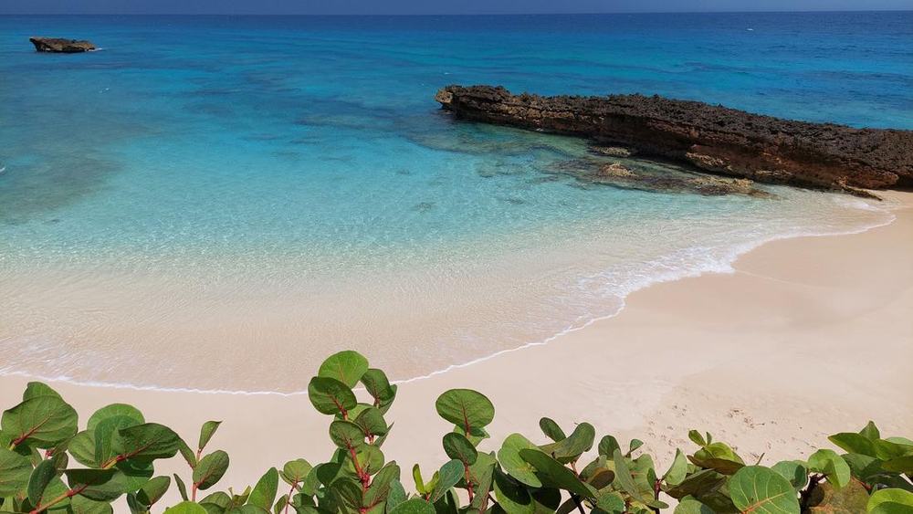 A small pink-sand cove with turquoise water, a rock outcrop and sea grape leaves