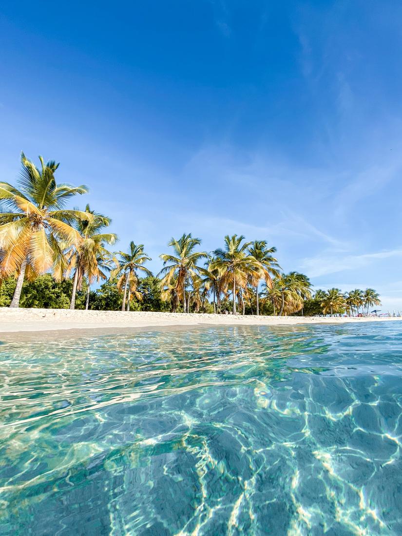 Crystal-clear shallow water in front of a beach lined with palm trees