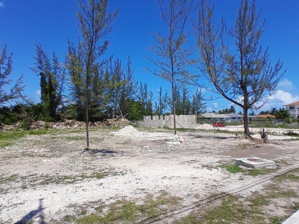 Half-acre commercial lot on Faith Avenue, Nassau, with young trees and open ground