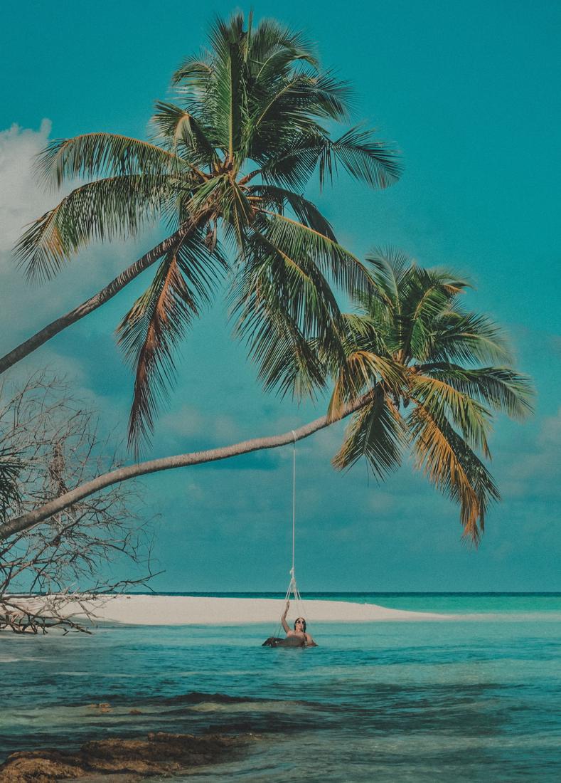 Leaning coconut palms over shallow turquoise water with a person on a rope swing