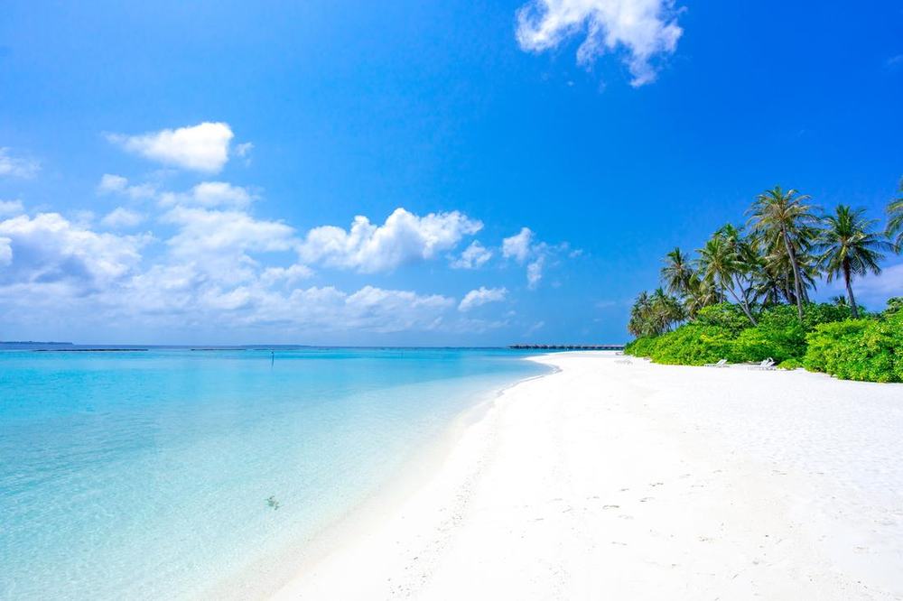White sand beach with palm trees and clear light-blue water